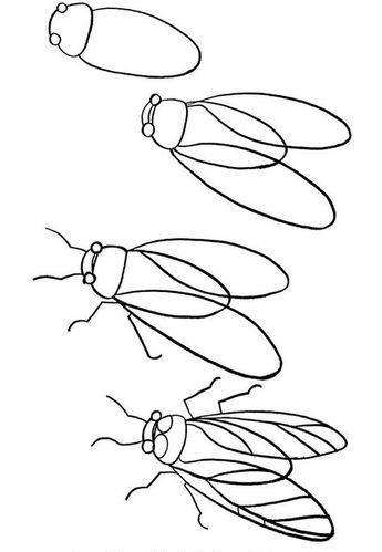 可爱的动物怎么画卡通简单又漂亮,画简单可爱的卡通动物教程