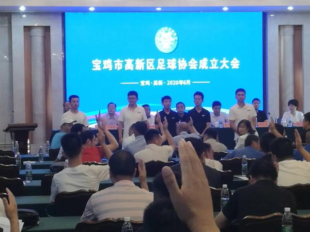 宝鸡市高新区足球协会,高新区足球协会