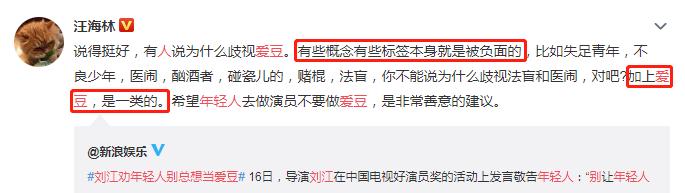 现在对爱豆的“鄙视链”已经发展到“歧视链”了吗?