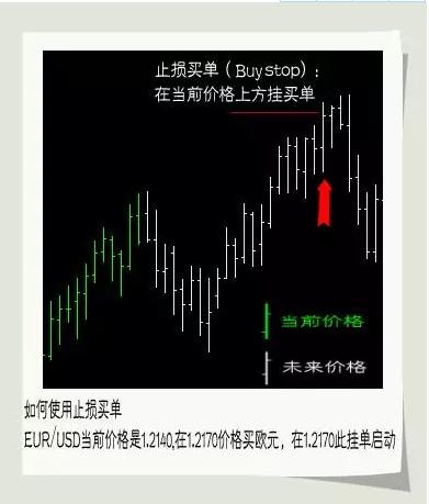 熬夜必看知识书,熬夜也要看完的10本书励志读物