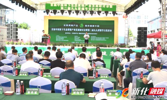 湖南黄精产业座谈会,新化县黄精产业