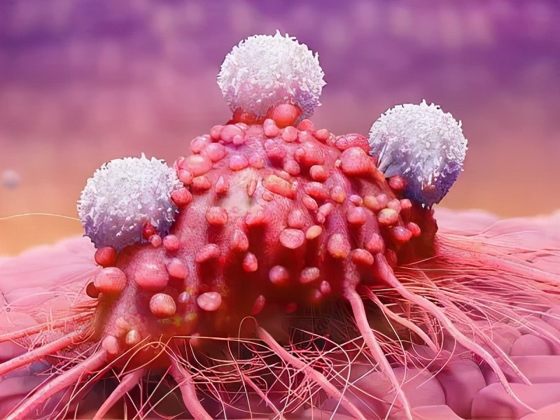 私密处长小疙瘩应该用什么药,私底下长了一个疣怎么处理