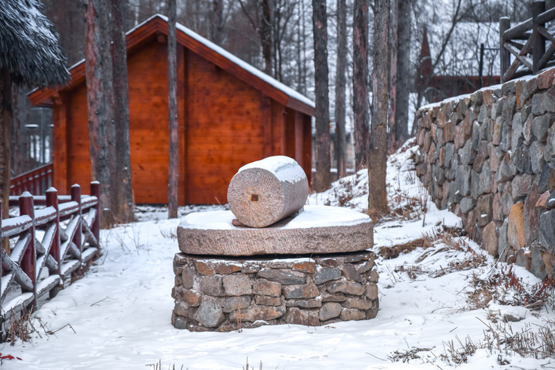 冰雪总动员简介,冰雪总动员