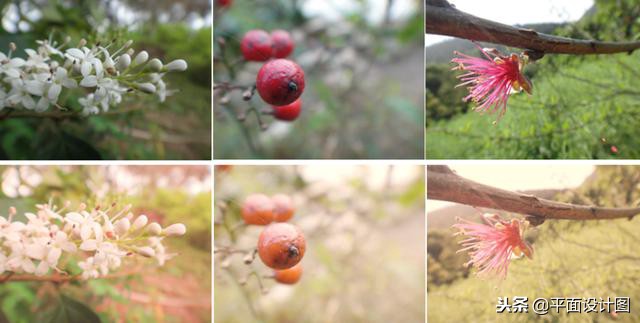 ps人物调色教程全过程,ps怎么给视频调色教程