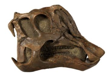 这场Dior杭州时装展，让我梦回2年前的加拿大