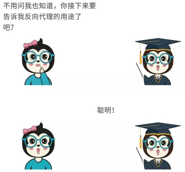 漫话|如何给女朋友解释反向代理？