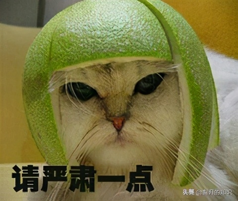 阅片无数？却不敢和爸妈一起看吻戏