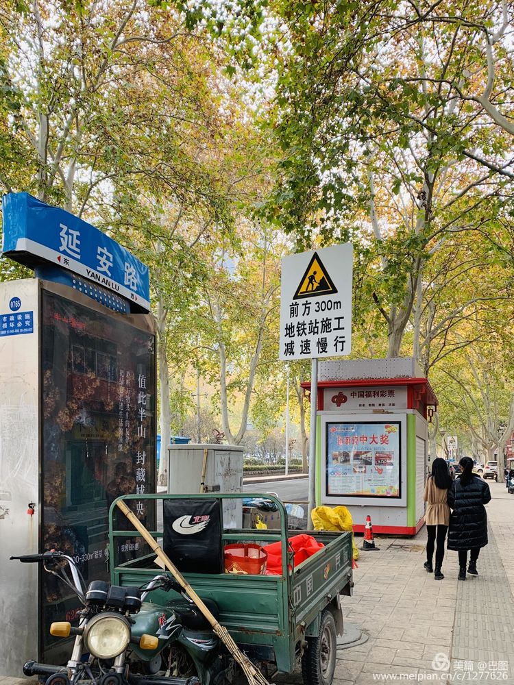 涧西牡丹广场老照片,洛阳牡丹手机拍照