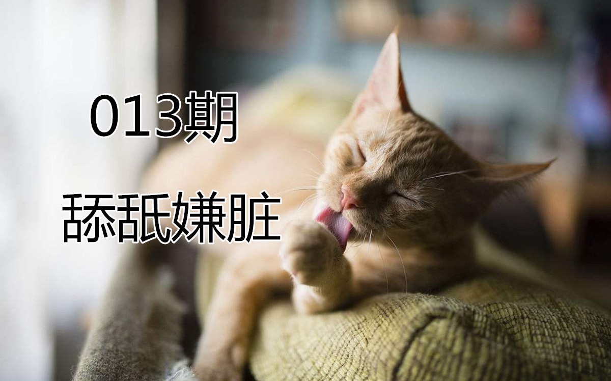猫咪舔舐自己的伤口会怎么样,猫咪反复舔舐同一个部位是怎么了