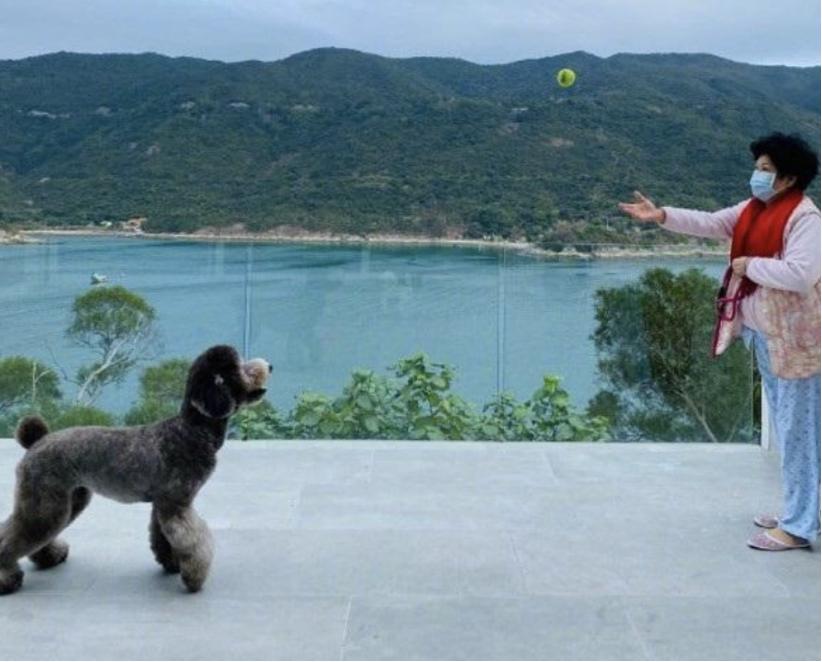 叶璇深夜找陈伟霆,叶璇陈伟霆同台