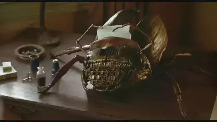 如何停止恐惧,如何停止畏惧