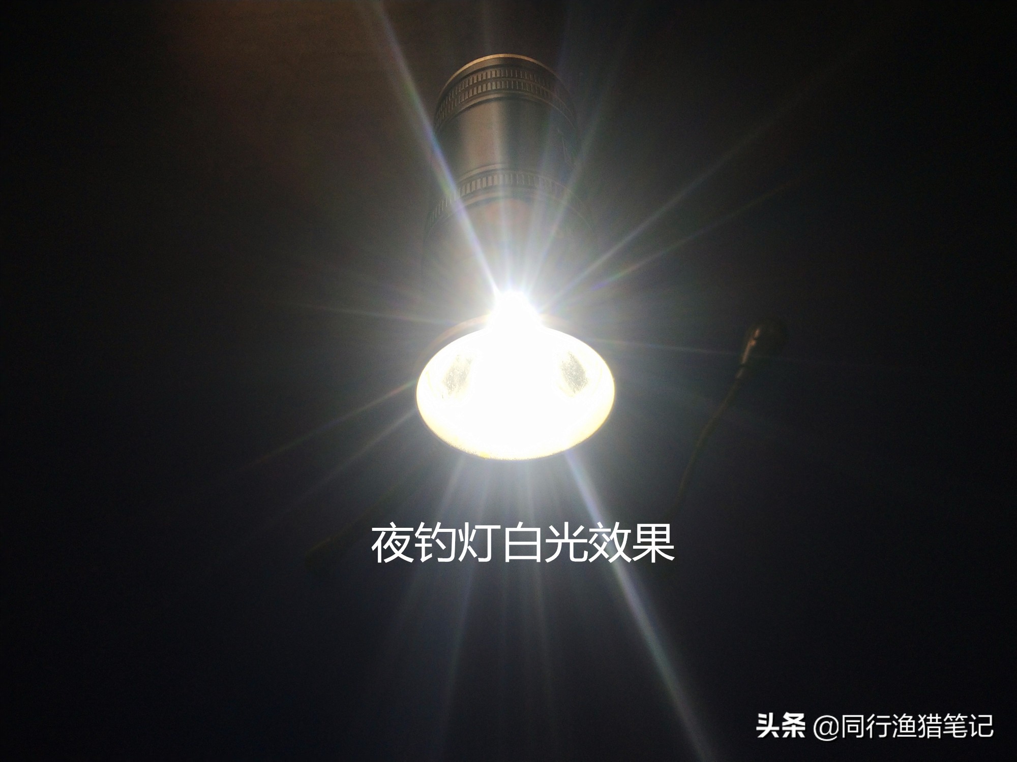 夜光漂夜钓效果如何,夜钓夜光棒如何循环使用