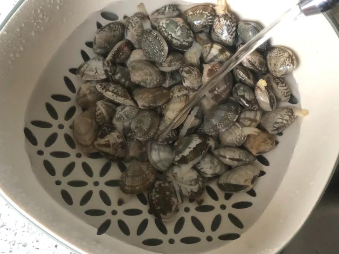 干货蛤蜊去沙的做法,不焯水的蛤蜊