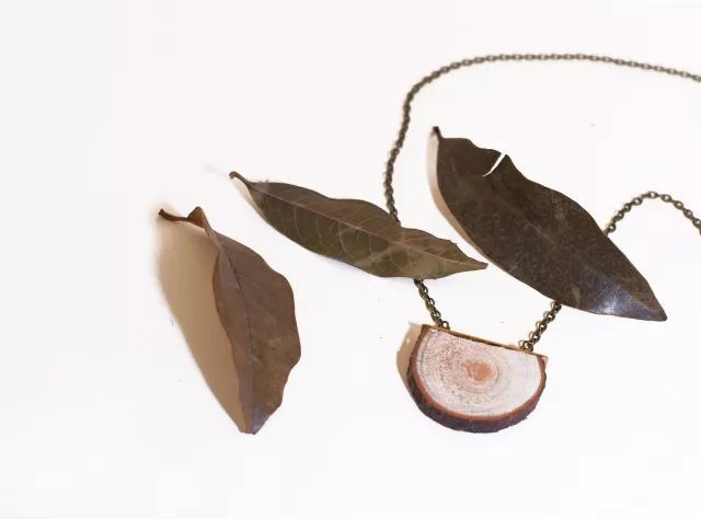 她31岁放弃北漂高薪，回归森林“捡垃圾”，用树叶打造出人间仙境