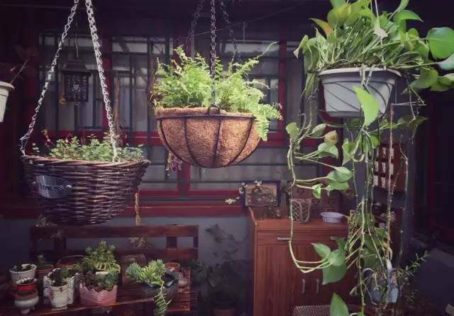 梦想改造家小户型,农村庭院改造效果图大全