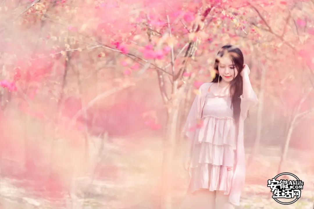 合肥最美的春天景点,合肥春天有哪些好玩的景点