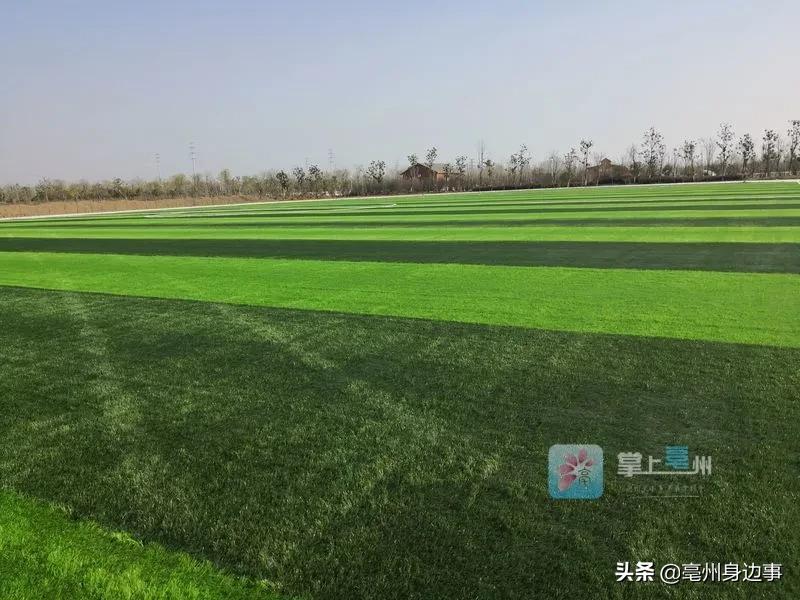 亳州最大足球场,亳州谯城区免费开放足球场有哪些