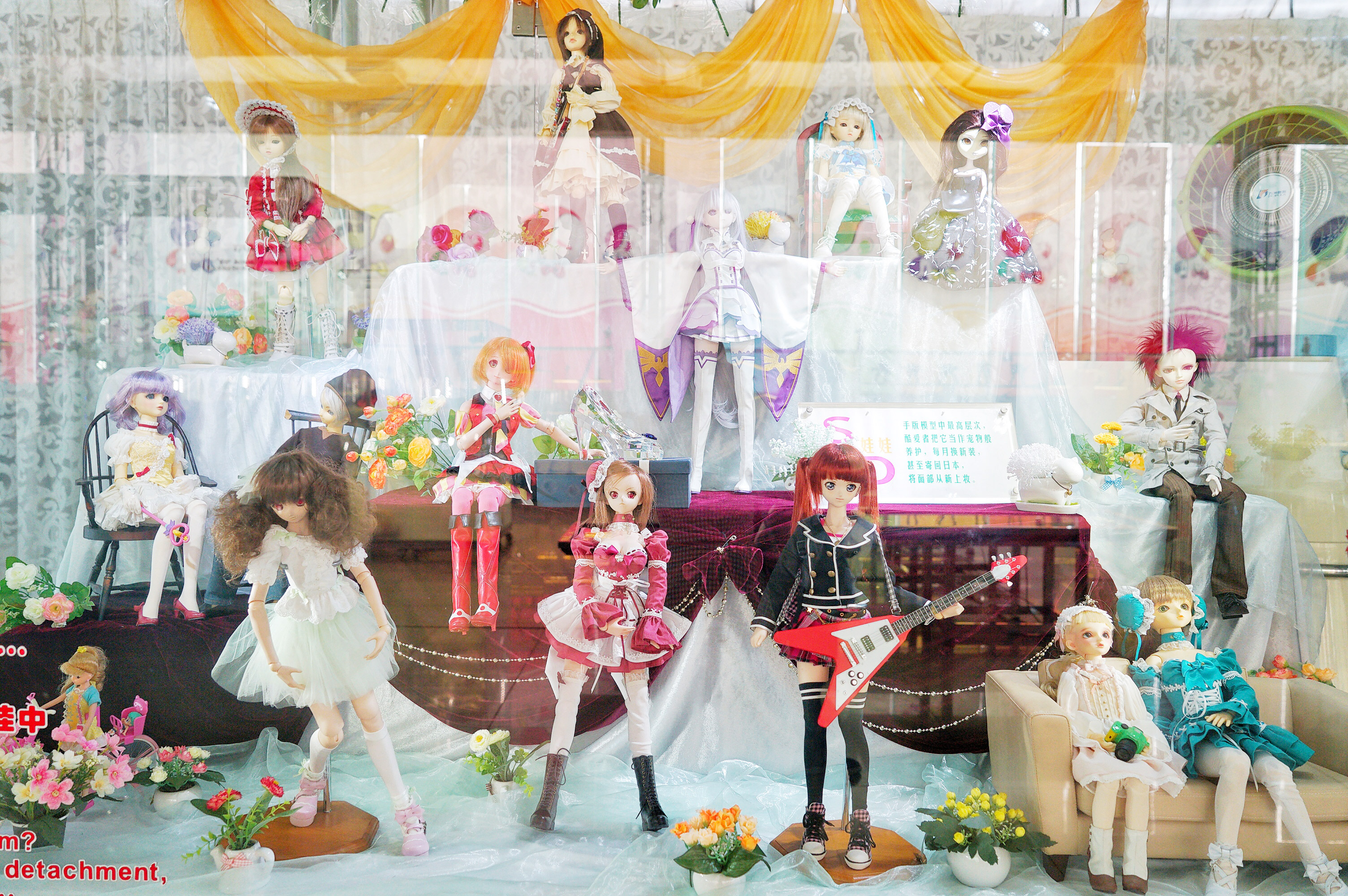 广州粉色浪漫花海,广东秋天粉色花海