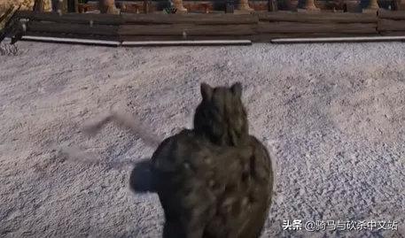 【攻略精选】霸主的格斗艺术——你与大神的距离只差这篇攻略