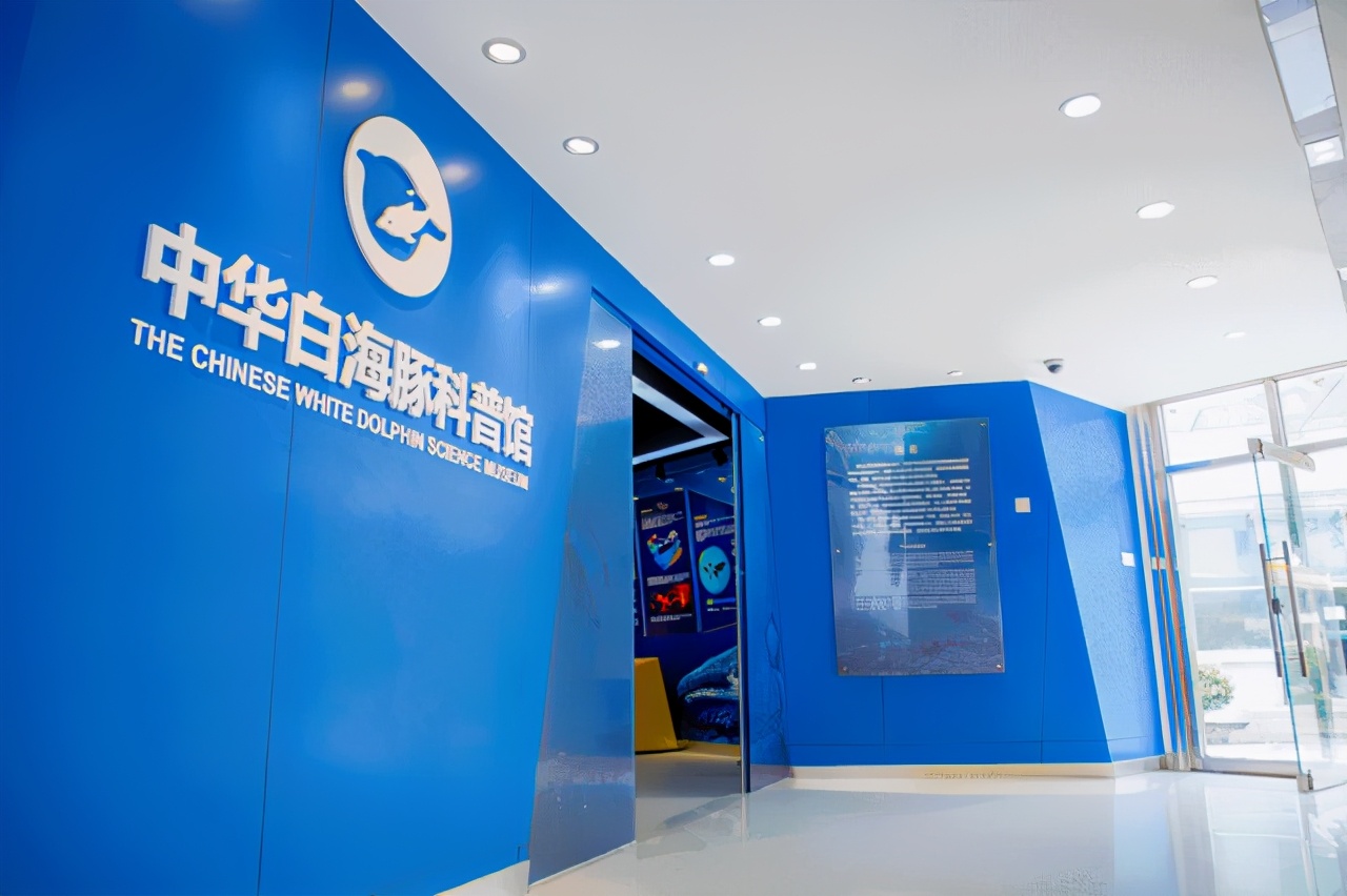 鼓浪屿必去的海岛,珠海坐船去鼓浪屿