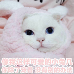 小米手机管家误删的图片怎样找回,小米10s如何找回误删的照片