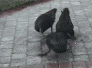 聚划算只优惠一次吗,聚划算价格高没流量