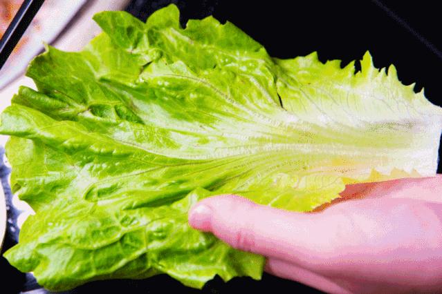 烤肉火锅一体餐厅最火的店清真,涮烤一体烤肉店