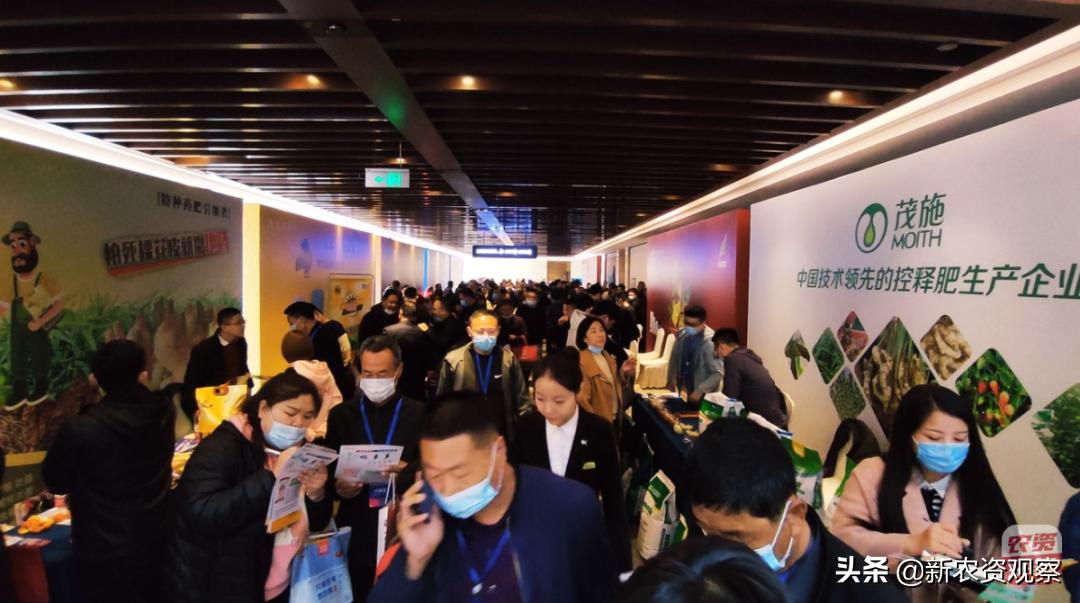 生姜栽培管理新技术,中国生姜栽培管理技术峰会