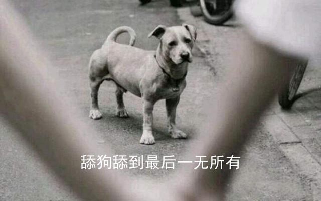 dnf这个游戏到底该不该舍弃,舔狗没有未来