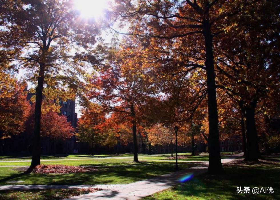 美国康奈尔大学校园风景,美国校园美景