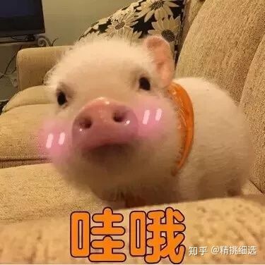 有哪些误导性护肤理念,关于护肤的几个误区有哪些