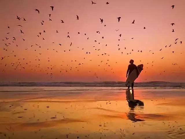 世界知名广告语创意,世界十大英文经典广告语