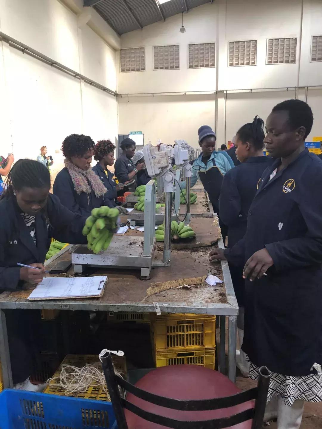 肯尼亚发展惊人,肯尼亚发展前景怎么样