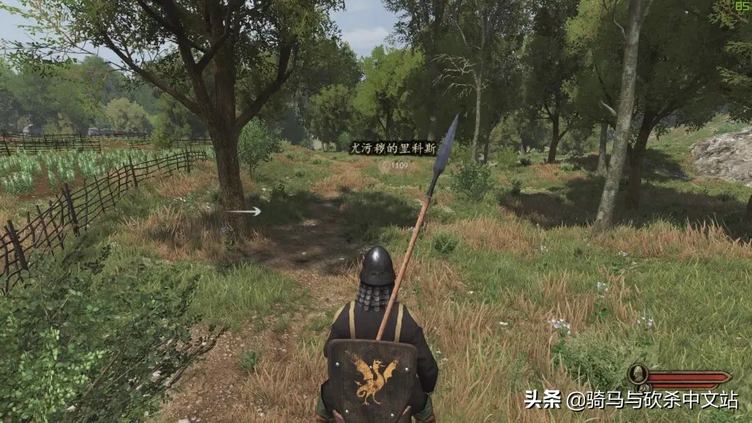 大黄鸭三部曲攻略,大黄鸭觉醒攻略