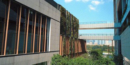 拍摄技巧入门教程图解,掌握这几招简单易学的拍摄秘诀