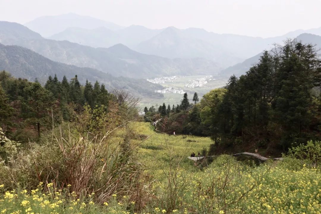 婺源清华朴园,婺源旅游攻略2日游民宿