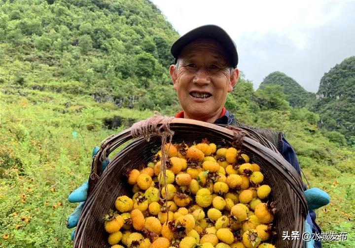 水城县特色产业,全域水城美丽乡村建设