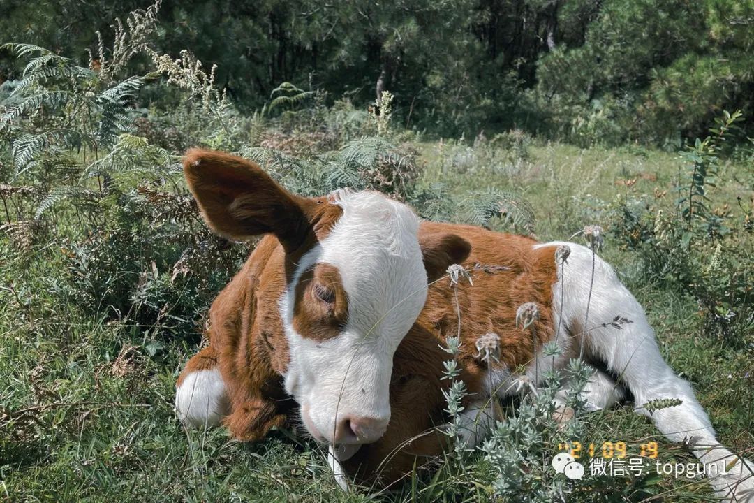 9月假期,9月很忙的句子