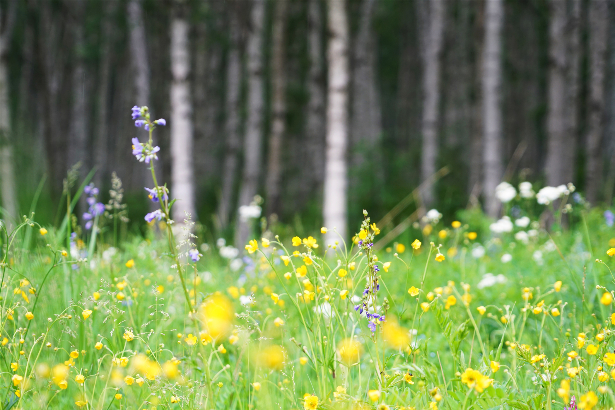 北京自驾避暑旅游攻略,2天一夜避暑胜地自驾游大盘点