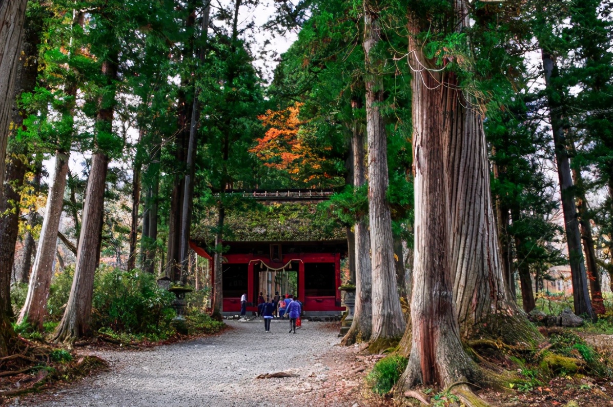 玩转日本京都,玩转日本东京大阪自由行