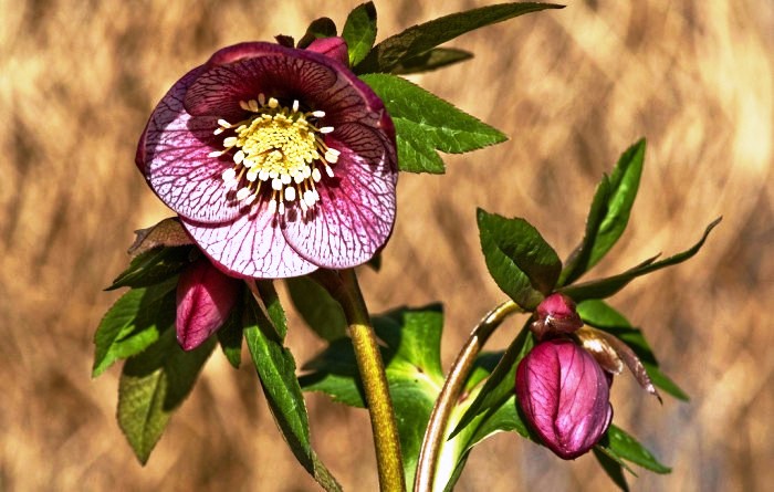 醒悟人生的句子透彻走心句句受益,看透人生醒悟的句子