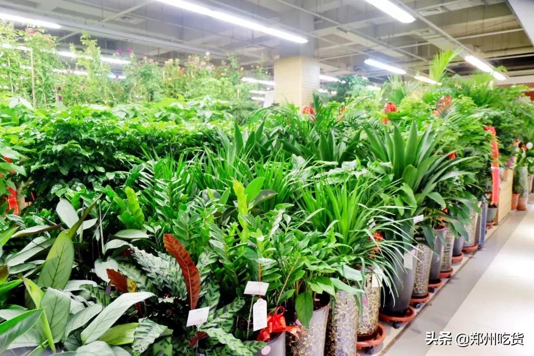 郑州各大批发市场一览表,河南郑州万邦国际农产品批发市场