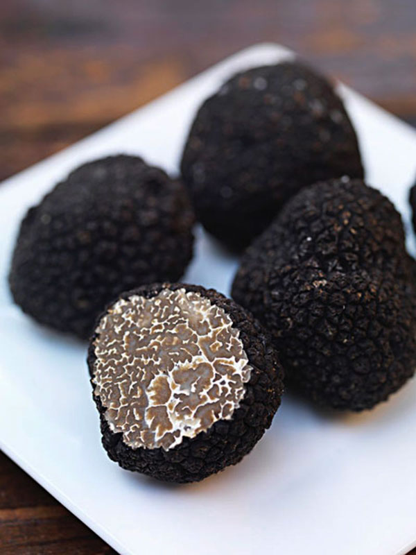 黑松露营养价值怎么样,黑松露的营养价值