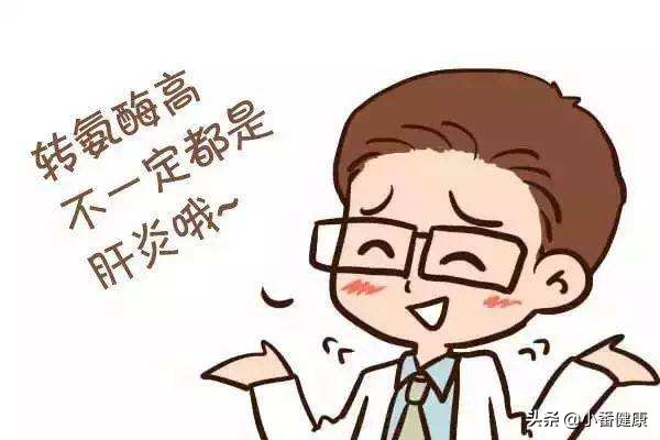 感冒会引起转氨酶胆红素偏高,感冒会影响肝功能的转氨酶高吗