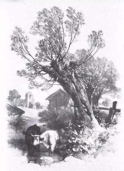 不会画风景咋办,不会画速写怎么办