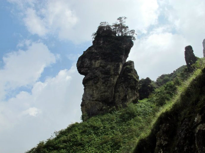 东川石将军自驾游,云南东川石将军罗汉松