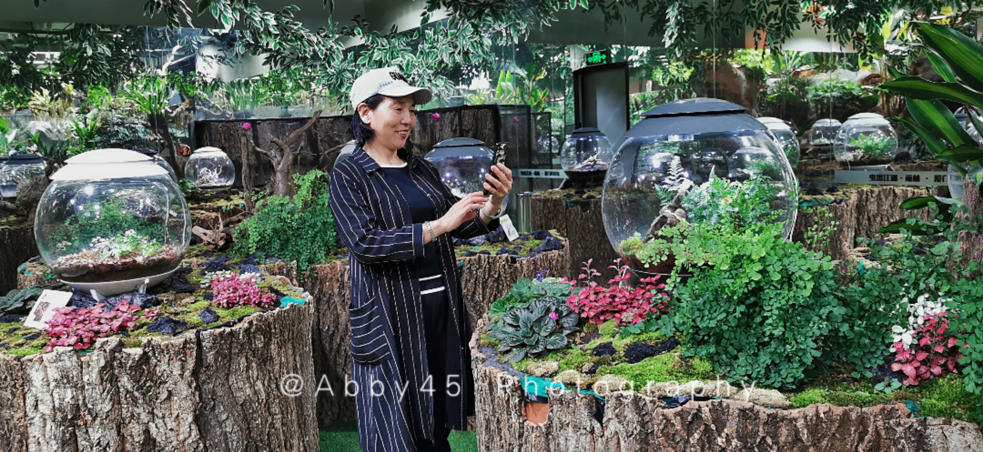 厦门亲子旅游三天两夜全攻略,带父母去厦门旅行攻略