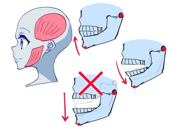 动漫人物怎么画头部,怎么画动漫人物头部结构