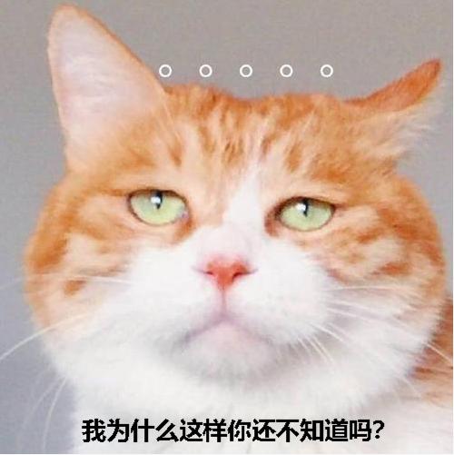 猫咪乱尿怎么除臭,猫咪往床上尿尿了买什么除臭