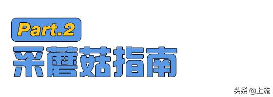 为啥俄罗斯大汉总是背着老婆钻树林？